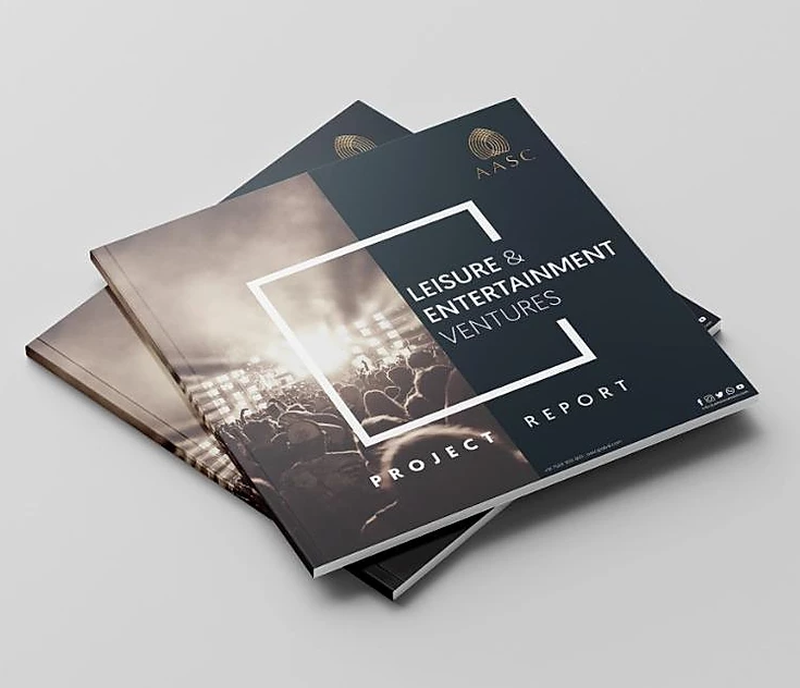 Business  plans, feasibility studies, market study, project reports